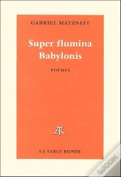 Capa do artigo Super Fulmina Babylonis