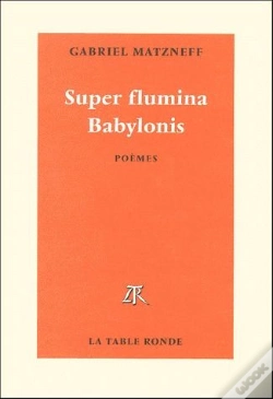 Capa do artigo Super Fulmina Babylonis