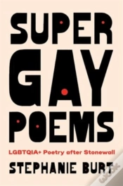 Capa do artigo Super Gay Poems