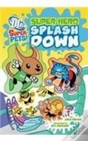 Capa do artigo Super Hero Splash Down