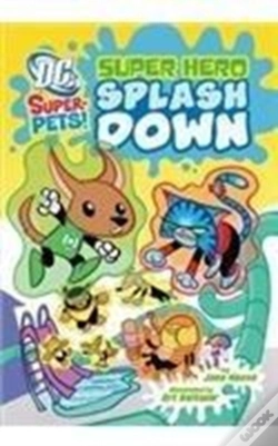Capa do artigo Super Hero Splash Down
