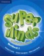 Super Minds American English Level 1 Workbook - Preview