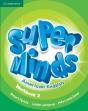 Super Minds American English Level 2 Workbook - Preview