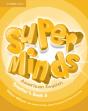 Super Minds Level 5 Teacher'S Book - Preview