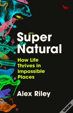 Capa do artigo Super Natural