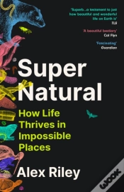 Capa do artigo Super Natural