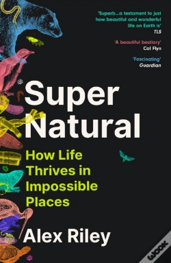 Capa do artigo Super Natural