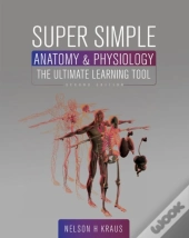 Super Simple Anatomy And Physiology