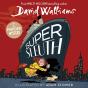 Super Sleuth - Preview