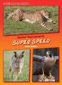 Super Speed - Preview