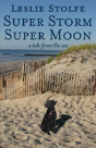Super Storm Super Moon - Preview