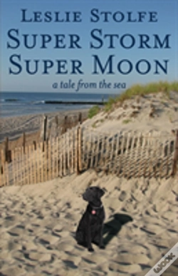 Capa do artigo Super Storm Super Moon