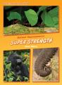 Super Strength - Preview