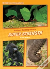 Capa do artigo Super Strength