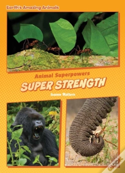 Capa do artigo Super Strength