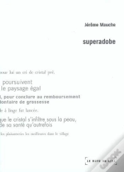 Capa do artigo Superadobe