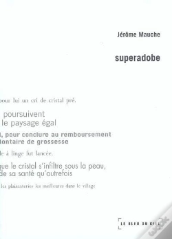Capa do artigo Superadobe