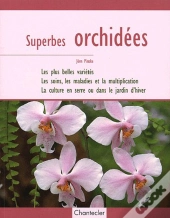 Superbes Orchidées