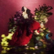 Capa do artigo Superbloom - CD