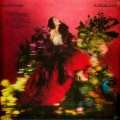 Capa do artigo Superbloom - Vinil