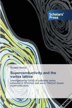 Capa do artigo Superconductivity And The Vortex Lattice
