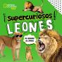 Supercuriosos Leones - Preview