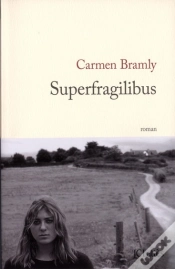 Capa do artigo Superfragilibus