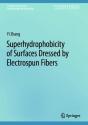 Superhydrophobicity Of Surfaces Dressed By Electrospun Fibers - Preview