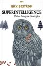 Superintelligence - Preview