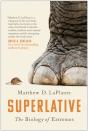 Superlative - Preview