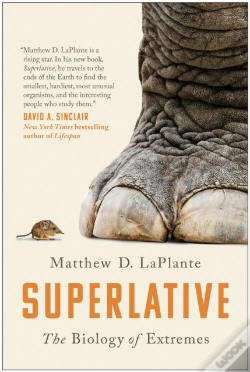 Capa do artigo Superlative