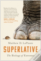 Capa do artigo Superlative