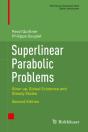 Superlinear Parabolic Problems - Preview
