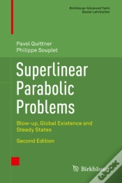 Capa do artigo Superlinear Parabolic Problems