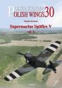 Supermarine Spitfire V - Preview