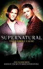 Supernatural: The Unholy Cause - Preview