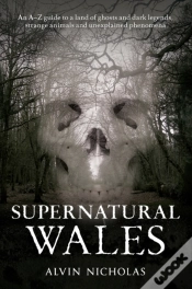 Capa do artigo Supernatural Wales