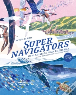 Capa do artigo Supernavigators