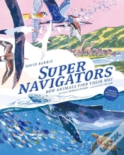 Capa do artigo Supernavigators