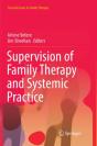 Supervision Of Family Therapy And Systemic Practice - Preview