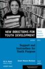 Support And Instruction For Youth Purpose - Preview