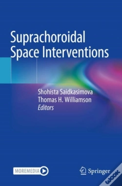 Capa do artigo Suprachoroidal Space Interventions