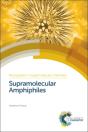 Supramolecular Amphiphiles - Preview