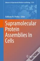 Supramolecular Protein Assemblies In Cells