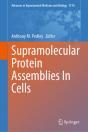 Supramolecular Protein Assemblies In Cells - Preview