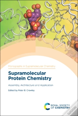 Capa do artigo Supramolecular Protein Chemistry
