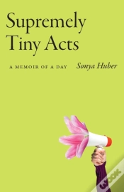 Capa do artigo Supremely Tiny Acts