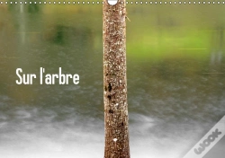 Capa do artigo Sur L Arbre Calendrier Mural 2018 Din A3 Horizontal