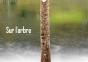 Sur L Arbre Calendrier Mural 2018 Din A3 Horizontal - Preview