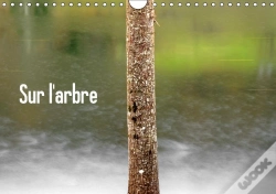 Capa do artigo Sur L Arbre Calendrier Mural 2018 Din A4 Horizontal